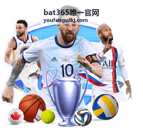 bat365唯一官网平台指南与玩法攻略图解
